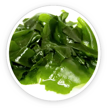 Prostadine